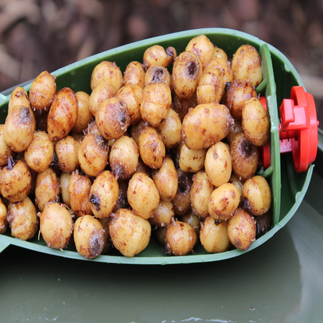 Bait Service Straubing - Tigers Standard 7 - 15 mm - 5 Kg